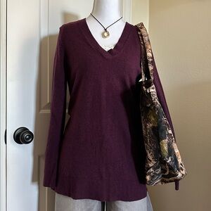 GAP Deep Purple V-Neck Long Sleeve Top